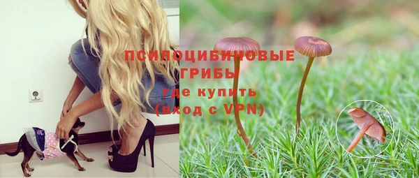 прущие крисы Зеленокумск
