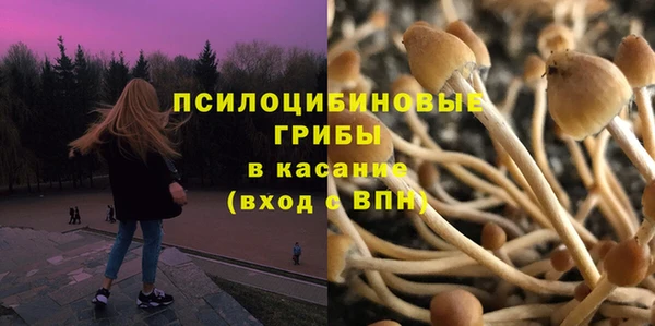 прущие крисы Зеленокумск
